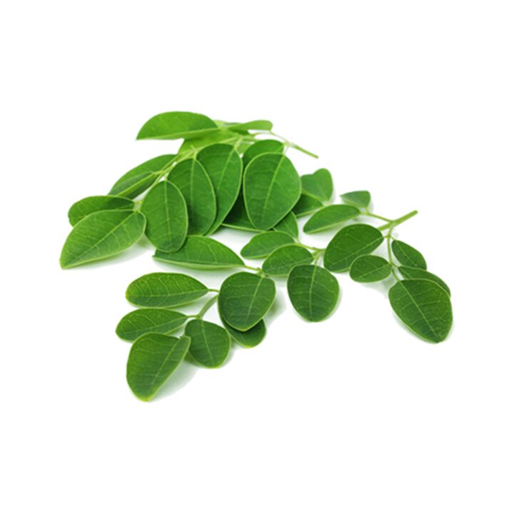 Normadex contains Moringa Leaves - a powerful natural anti-parasitic remedy
